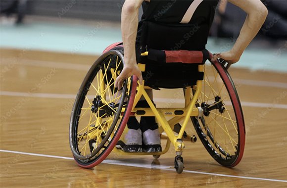 スポーツ関連/Sports-Related Products and Services